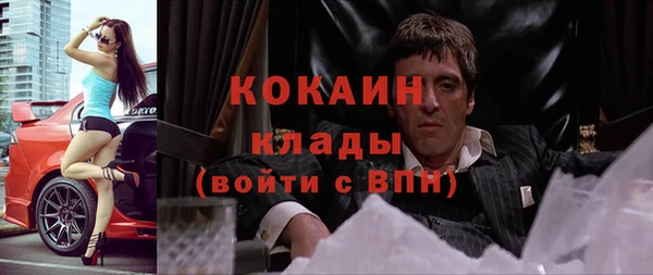 дживик Лагань