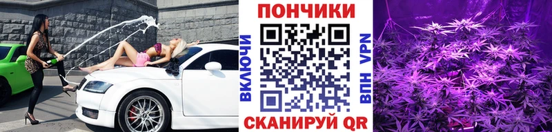 Шишки марихуана семена  Плавск 